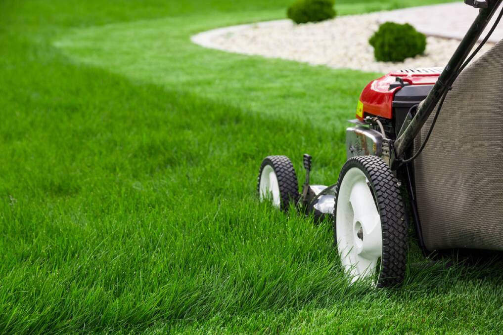 GROW AND EARN: "There’s been a renewed surge in water-guzzling lawns with people planting grass on every square centimetre of land" Denis Gregory.

