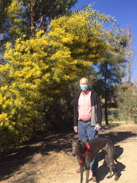 Neil Jones and his dog Rosie enjoying the spring wattles found growing at the Ploughman's Wetlands. Photo: CONTRIBUTED