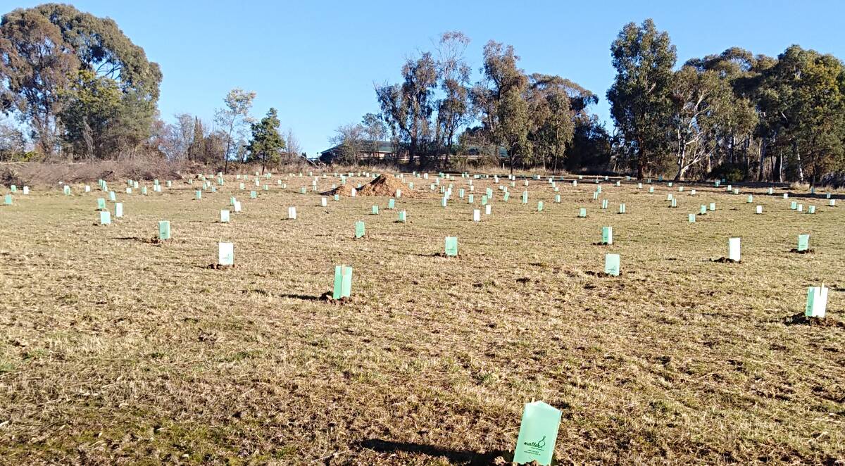 READY AND WAITING: Lake Canobolas Reserve will be the site of Sunday's National Tree Planting event in Orange. 