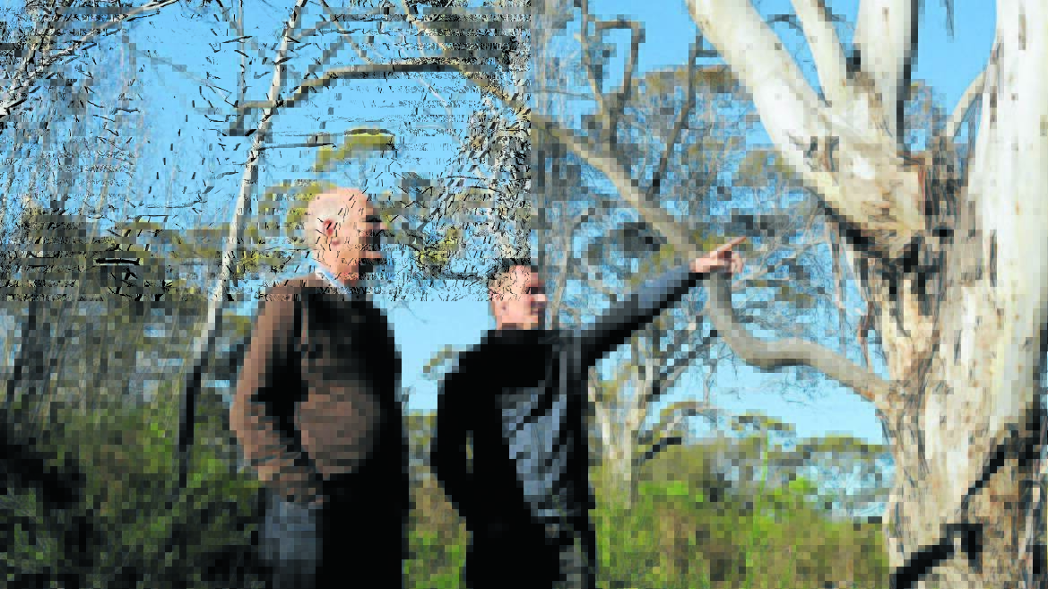 Bloomfield Bushland Advisory Group chair Neil Jones and group member Peter West are pleased 10 hectares of bushland will be set aside to offset the impact of a $10 million group home development in the area. Photo: FILE/JUDE KEOGH