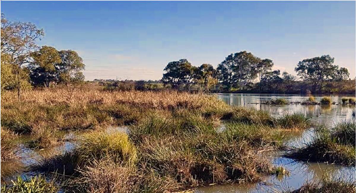 UNDERVALUED: Orange is home to a host of rehabilitated wetlands.