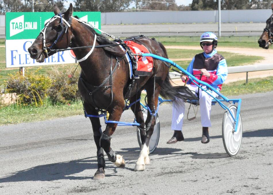 Sweet success: Mister Jogalong was a winner at Dubbo on Saturday night over 1720 metres. 