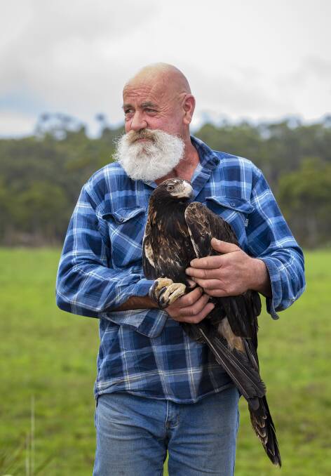 TENDER: Tim Willcox shares a moment with the eagle he rescued before releasing it to the wild. Picture: Adam Hardy