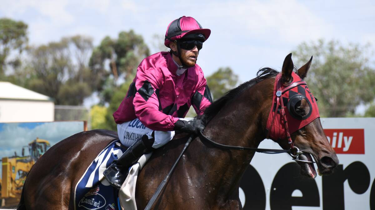 CHILLED: Ready Queen and Jake Pracey-Holmes picked up a win at last year's Christmas Twilight races, this year's meeting has been abandoned. PHOTO: BELINDA SOOLE.