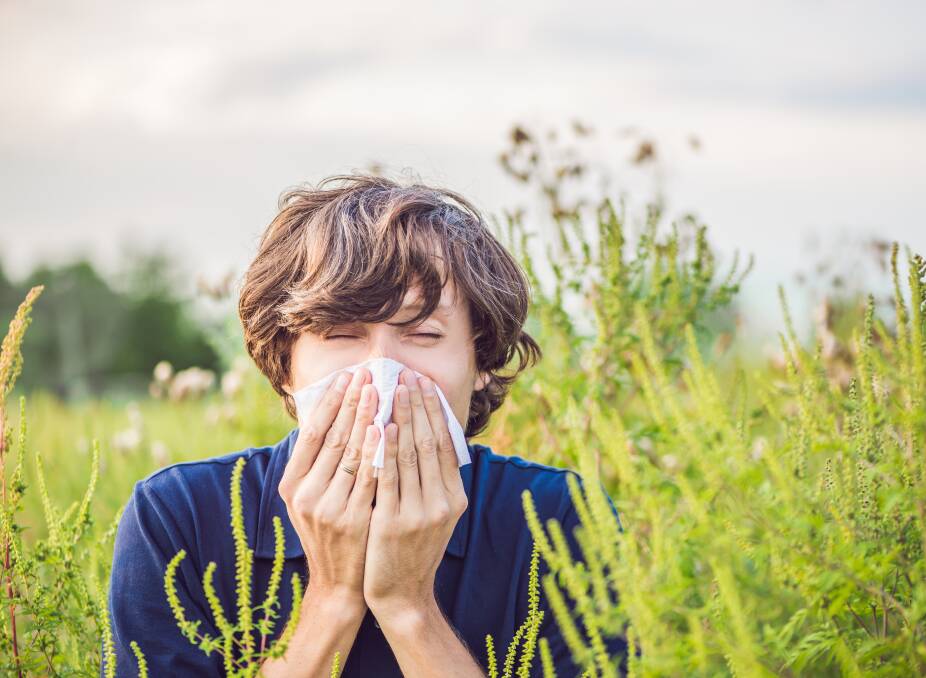 Spring is often a season associated with a range of allergy issues. Picture Shutterstock