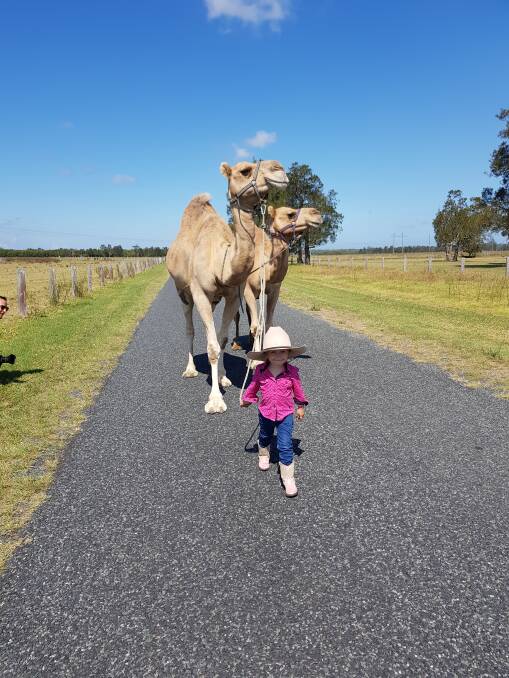 Abby Sansom leading out the talent at the Forbes Camel Races. Photo: Supplied.