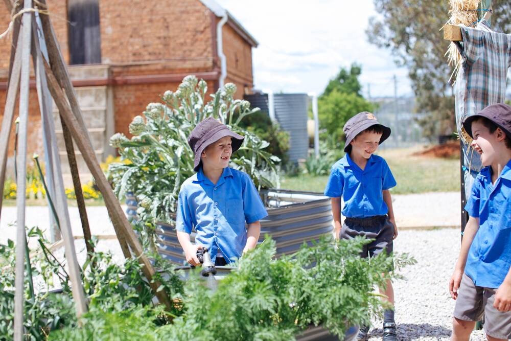 Thinking outside the box: The kitchen garden in Molong is just one of the many innovative projects helping students to learn. Photo: Supplied.