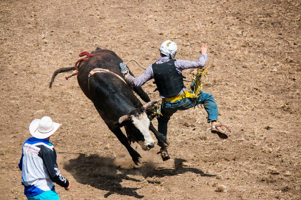 Test of Time: Eight seconds is a short amount of time unless you are trying to stay on the back of a bucking bull. Photo: File.