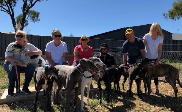 GREYHOUND LOVE: Leanne Pearce, Jodie Geach, Vanessa Evans, Dean Channell, Greg & Fiona Bartimote with dogs Bonnie, Wilma, Blu, Dave, Lucy, Elsie and Bruce.