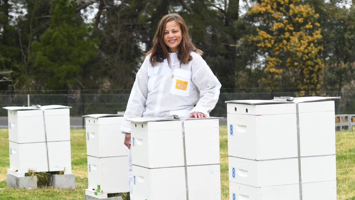 SWARM SEASON: Nicky Moss is urging people to contact beekeepers like herself to remove swarms - which are too vulnerable to sting. PHOTO: JUDE KEOGH