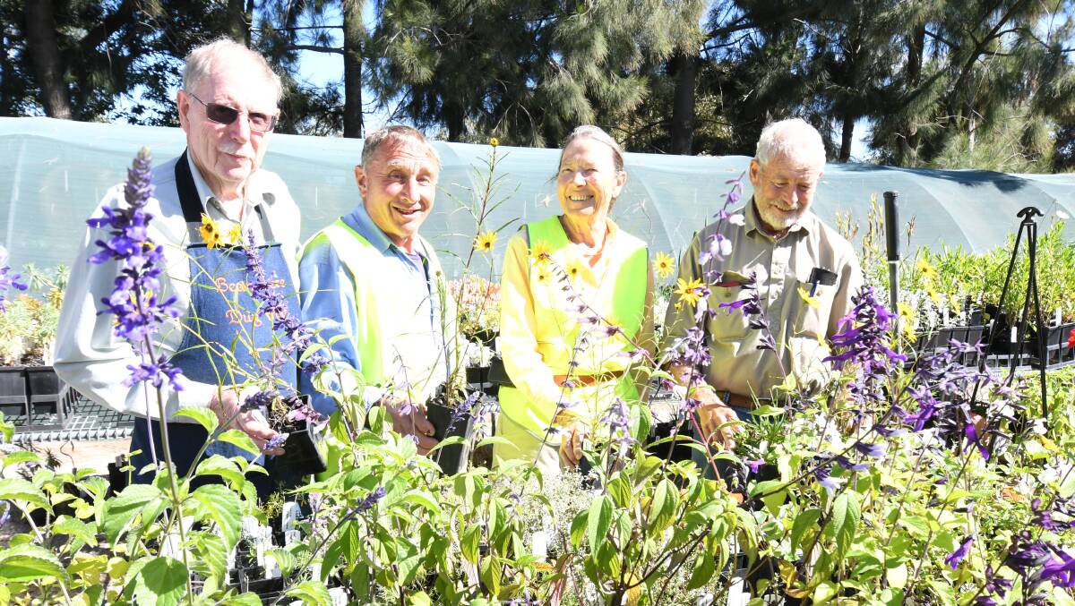 PLANT SALE: Richard Landon, Stewart Chapman, Teena Howie and Mike Patterson. PHOTO: JUDE KEOGH 