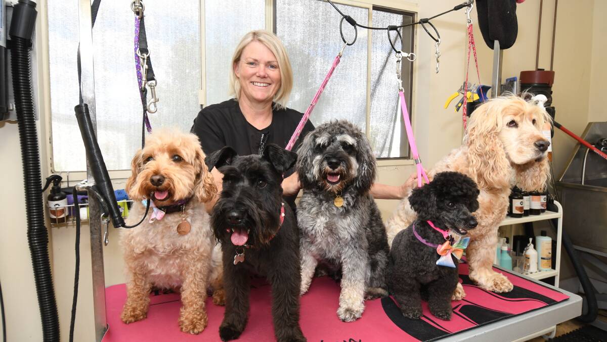Kerrie Williams from Oodles of Style with pampered pooches June, Nancy, Jasper, Bella and Phoebe. PHOTO: JUDE KEOGH