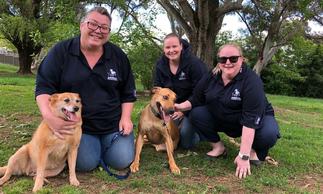 FUREVER: Animal Welfare League NSW's Orange branch committee members: president Tina Pacey (with her dog Matilda), secretary Catherine Frost and vice-president Katie Rogers (with Tilly who is currently up for adoption). Photo: Alana Calvert