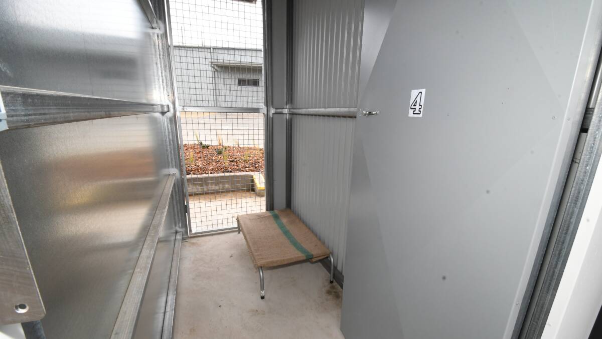 The interior of one of the pound's overnight kennels or 'drop boxes'. PHOTO: JUDE KEOGH