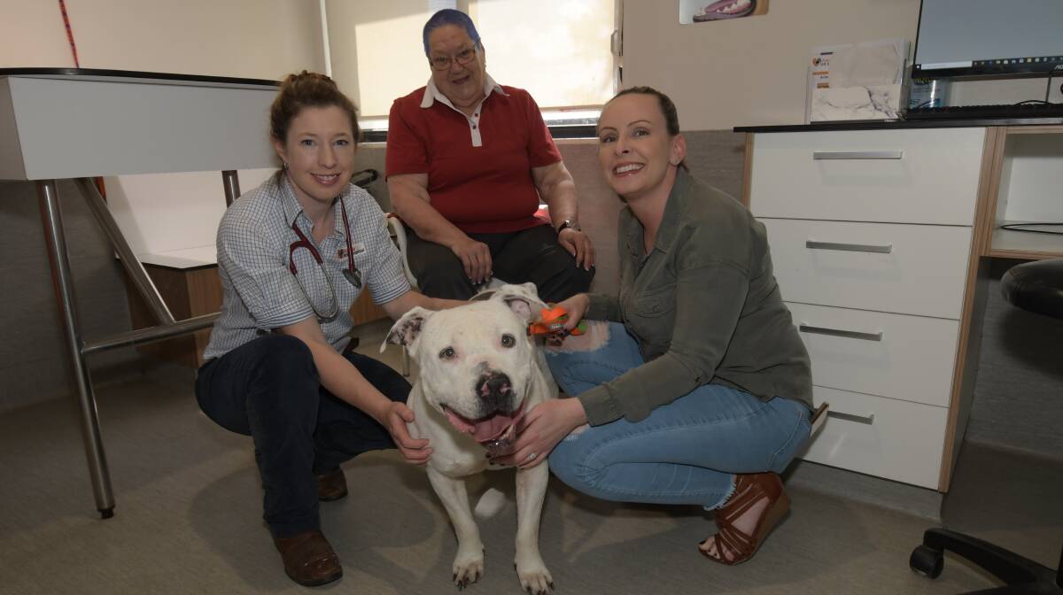SUN SMART: Dr. Nikki Burns, Jenny Roberts and Central West Animal Rescue's Jasmine Smart with Jasper. PHOTO: CARLA FREEDMAN 