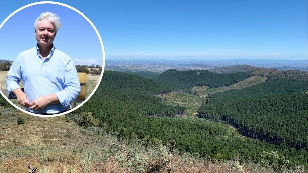 PLAN B: CCA vice-president Dr Andrew Rawson (inset) and the area of pine forest on Mt Canobolas which he says is a better alternative for the bike trail. PHOTOS: JUDE KEOGH / SUPPLIED