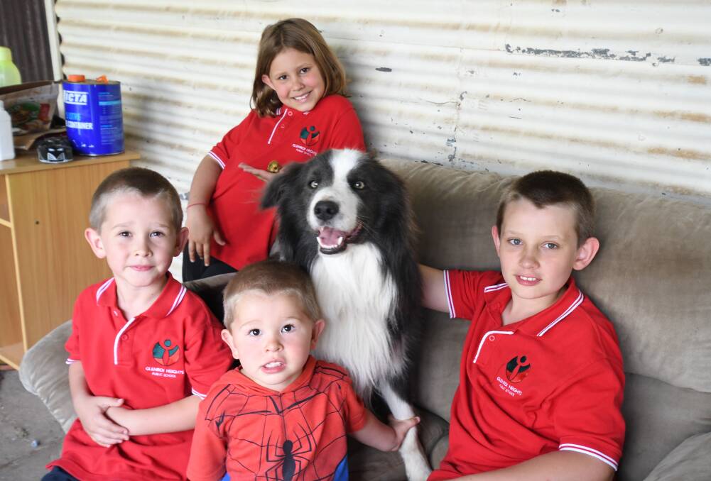PART OF THE PACK: Sarah, 7, James, 5, Michael, 2, and Anthony Harris, 9, with Romeo the border collie who was facing euthanasia just six months ago. PHOTO: JUDE KEOGH

