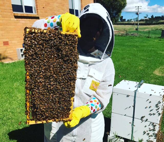 Nicky Moss with one of her hives. PHOTO: SUPPLIED
