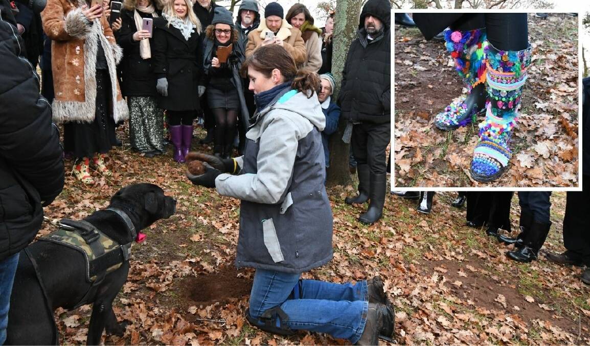 HUNT IS ON: Teneka Priestly inspects a truffle found by Bailey at the last Black Tie and Gumboot Truffle Hunt in 2019. Insert: Skie Ross's gumboots. PHOTOS: JUDE KEOGH