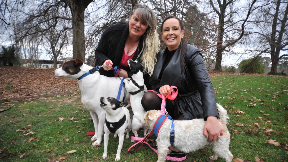 RESCUE MISSION: Central West Animal Rescue's new president Patricia Osbourne with outgoing president and founder Jasmine Smart and dogs: Coco, Max, Chloe and Bella. PHOTO: JUDE KEOGH