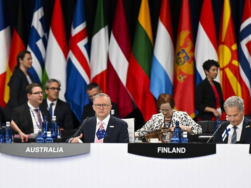 Prime Minister Anthony Albanese has addressed the NATO Summit in Madrid.