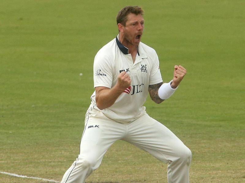 Victorian James Pattinson claimed seven wickets, including 4-41, to deny NSW the Shield title.