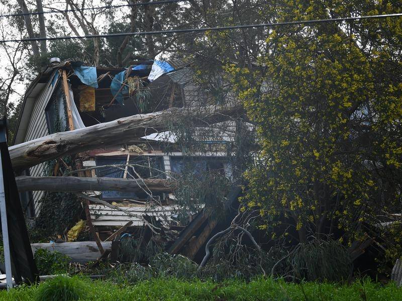 Wild weather in Melbourne follows a severe storm that caused three deaths from falling trees.