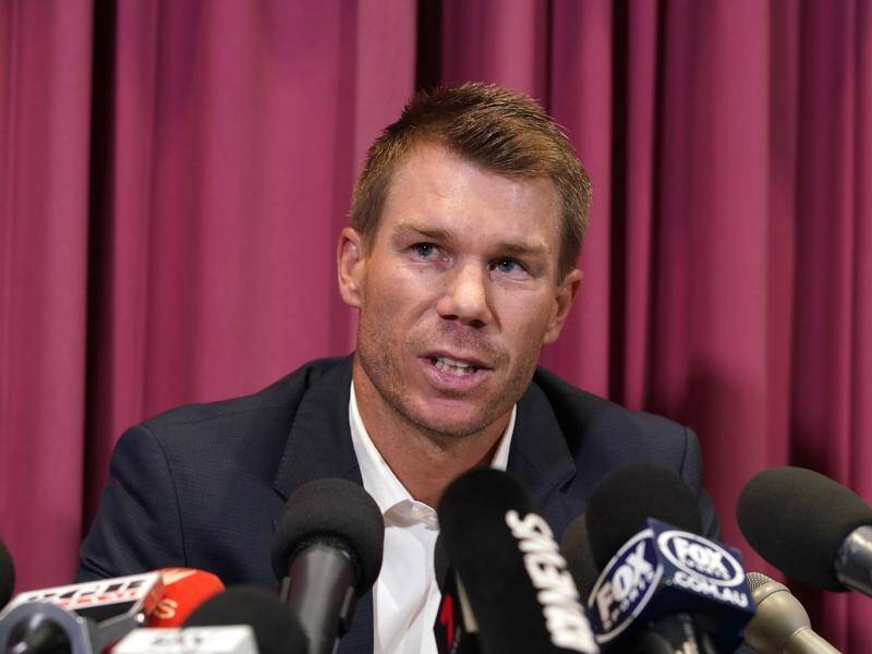 Banned from the Australian team, David Warner is to get a Nine Network commentary role.