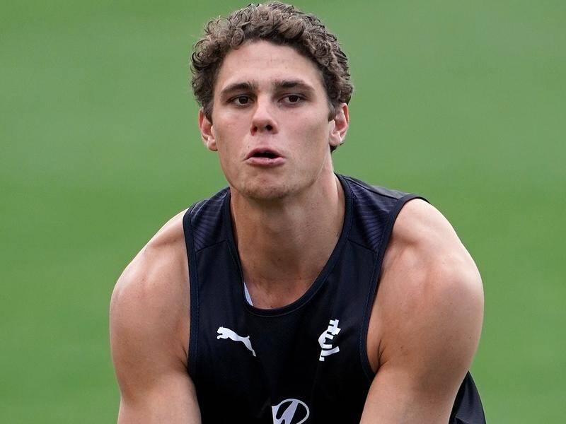 Charlie Curnow will undergo knee surgery in another injury setback for the Carlton forward.