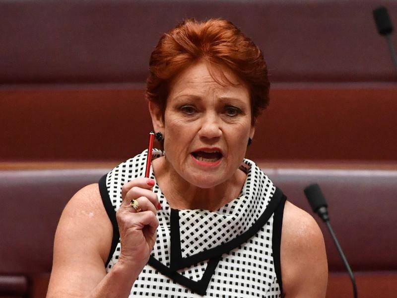 One Nation leader Pauline Hanson was condemned as racist for remarks on Closing the Gap outcomes.