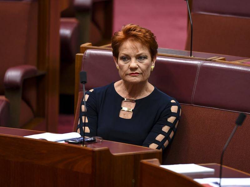 One Nation Leader Pauline Hanson is set to front the media over a guns scandal engulfing her party.