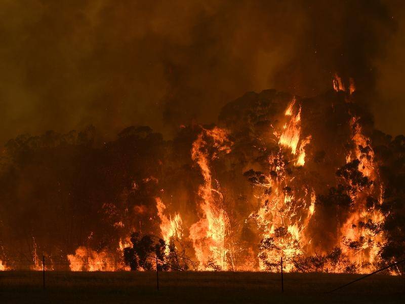 The Black Summer bushfires raised the temperature of the atmosphere to its highest level in 29 years (Dan Himbrechts/AAP PHOTOS)