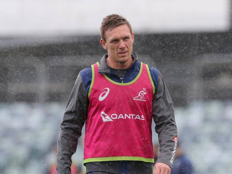 Dane Haylett-Petty looks set for a starting place in Australia's World Cup clash with Wales.