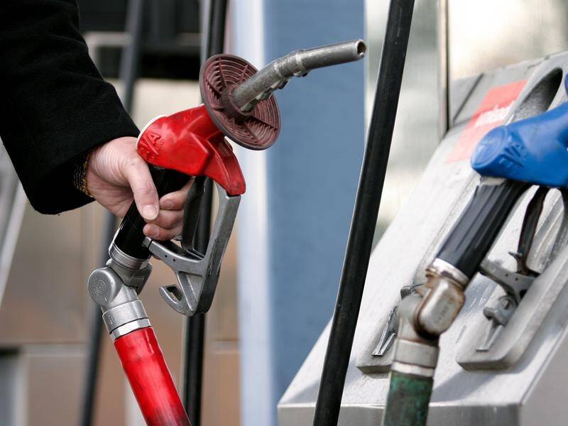 The fuel excise will be slashed for six months to ease cost of living pressures for motorists.