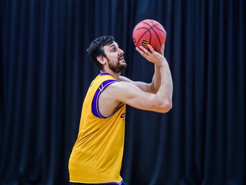 Andrew Bogut is expected to be used more offensively in the NBL for the Sydney Kings.