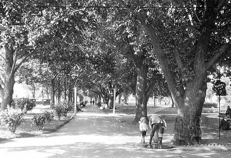 GREEN SPACE: Families enjoy leisure time at Robertson Park in 1925. Pictures: Orange City Library. 