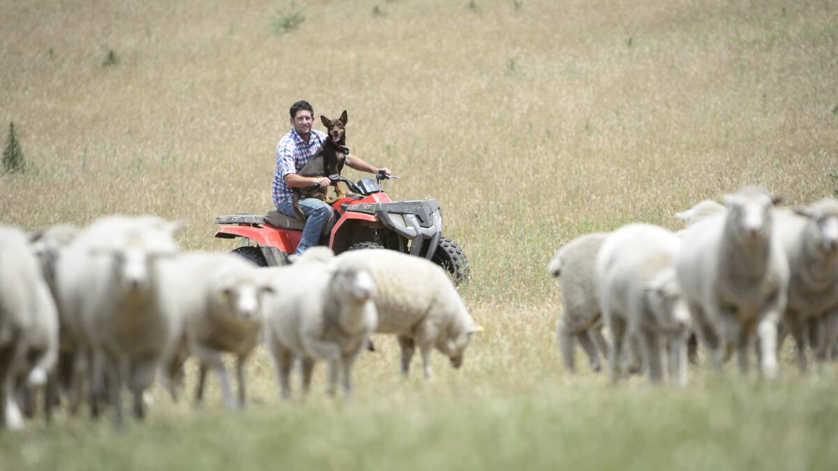 LOOKING FOR LOVE: Mitch Hughett, at home on the farm, joined the reality television series When Love Comes to Town to find love. Photo: Supplied