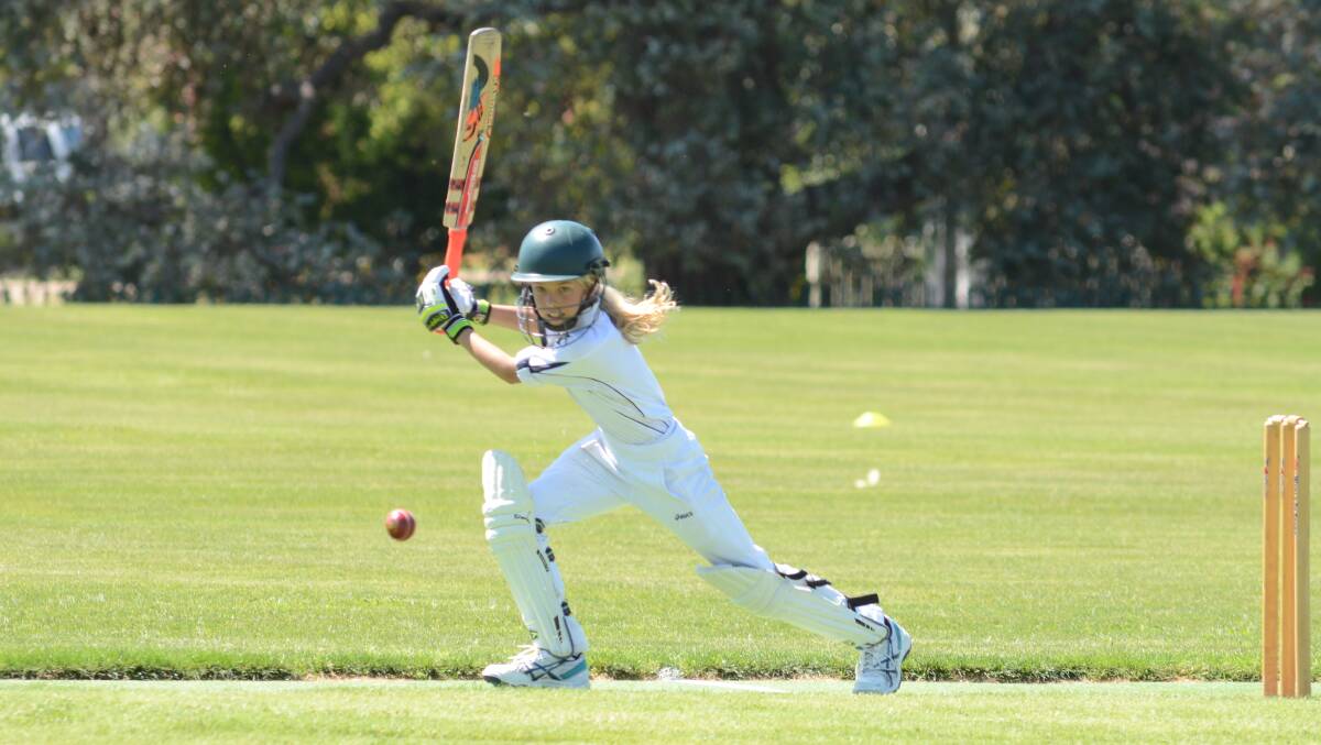 All the action from Saturday's junior cricket and softball fields