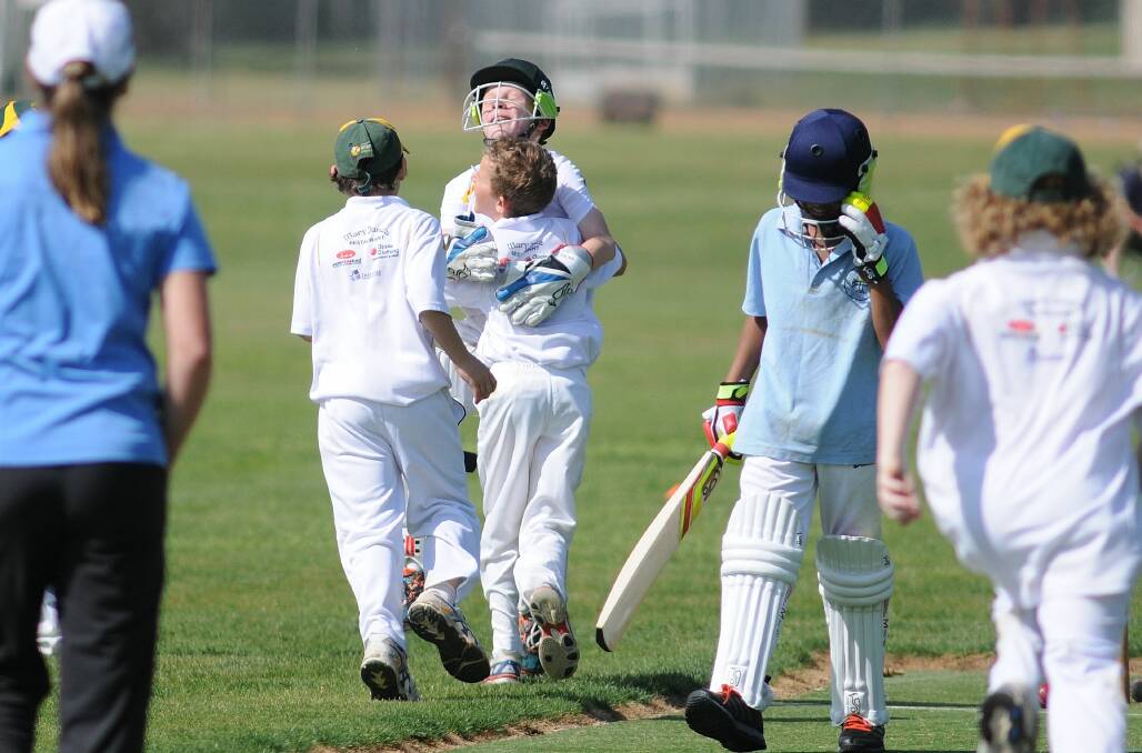 All the weekend's junior cricket action