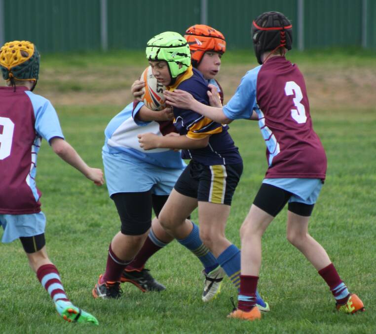 All the action from the junior rugby league carnival at Brendon Sturgeon Oval on Tuesday