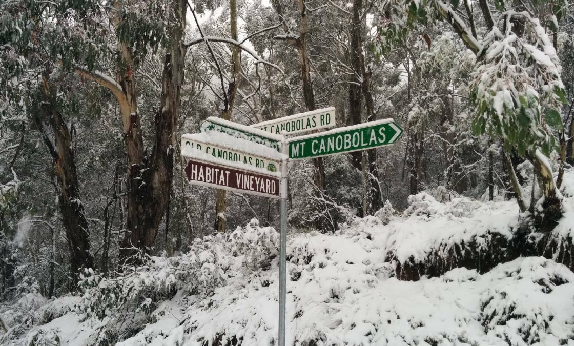 COMING THIS WAY?: Mount Canobolas is forecast to receive more snow next weekend.