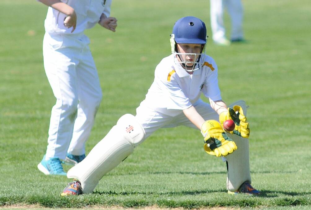 All the action from the weekend's junior cricket fields