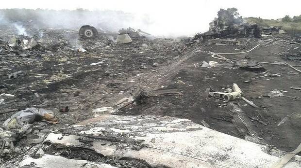 TRAGEDY: The site of the Malaysia Airlines Boeing 777 plane crash in the settlement of Grabovo in the Donetsk region.