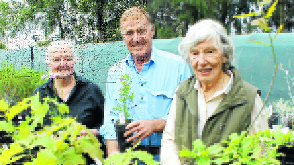 BIG PLANT SALE: Friends of the Botanic Gardens volunteers Sally Watson, Dennis Croucher and Sina Wright are busy preparing plants for the group’s big biannual plant sale. Photo: MARK LOGAN                                   1023mlplantsal3