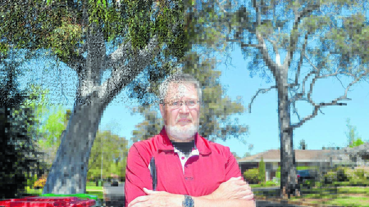 STILL A DANGER: Philip Hodges says while dangerous trees might be cut down at Calare Public School, trees outside the school pose the same risk. 
Photo: DANIELLE CETINSKI 1001dctree2