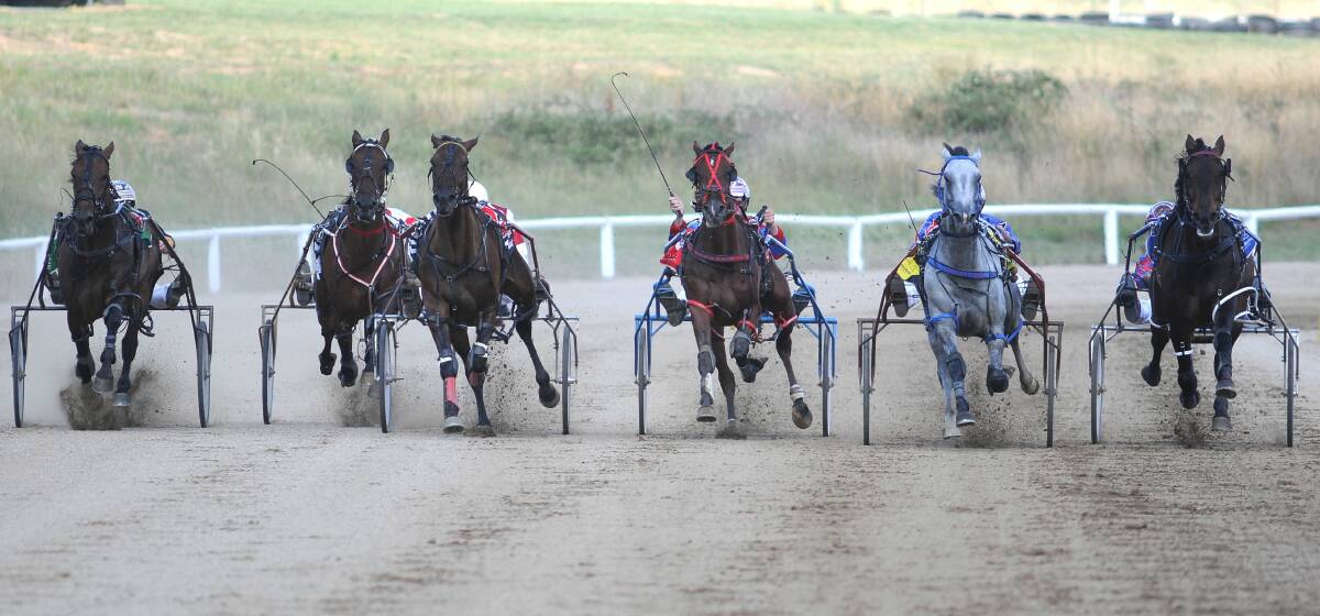 DEFENDING HOPE: I'm Blue Double Dee (second from right) charges home in last year's Banjo Paterson Cup, and is a strong chance to win the race again this year. Photo: STEVE GOSCH                         0208sgtrots1