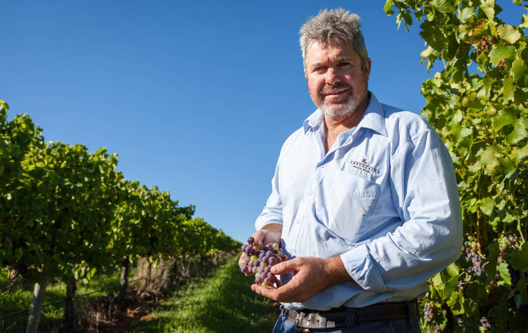 DOCO TALENT: Orange grape grower Clayton Kiely will be involved in the documentary Restoring Earth, which will feature local wine growers in Orange and Mudgee. Photo: CONTRIBUTED   0219bfclayton
