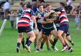 GREEN MACHINE: Orange Emus handed Mudgee Wombats a comprehensive defeat in their Blowes Clothing Cup match-up at Jubilee Oval on Saturday. Photos: COL BOYD