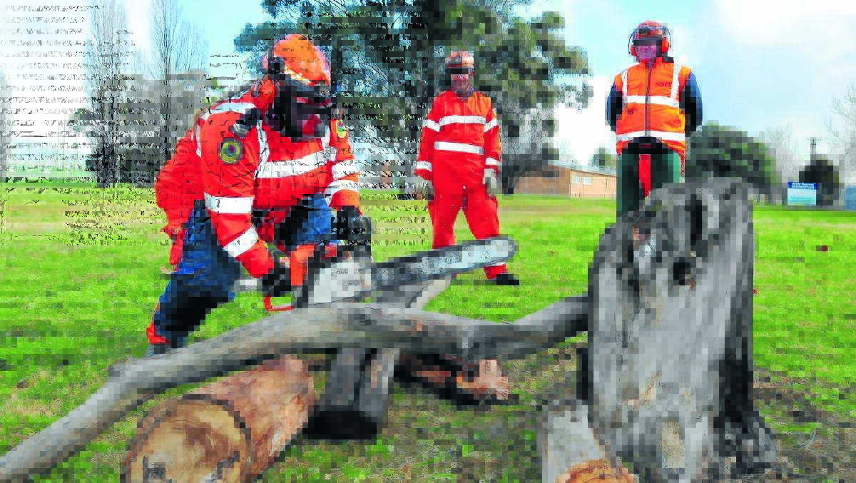 HARD YAKKA: SES volunteers Liann Deyssing, Bruce Smith and Phillip Kirkwood practise their tree cutting skills in preparation for the next storm.
Photo: JUDE KEOGH 0521SES1
