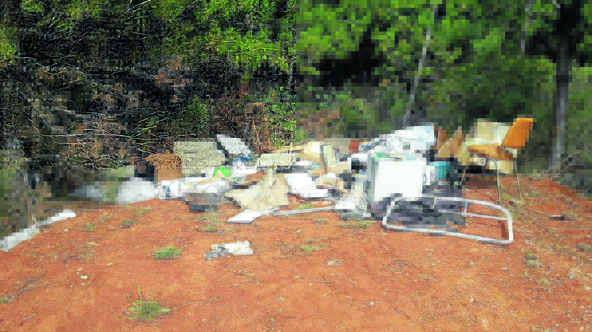 TRASHING THE NEIGHBOURHOOD: The offenders behind this illegal dump in January have been issued with a fine and a warning.                                  Photo supplied